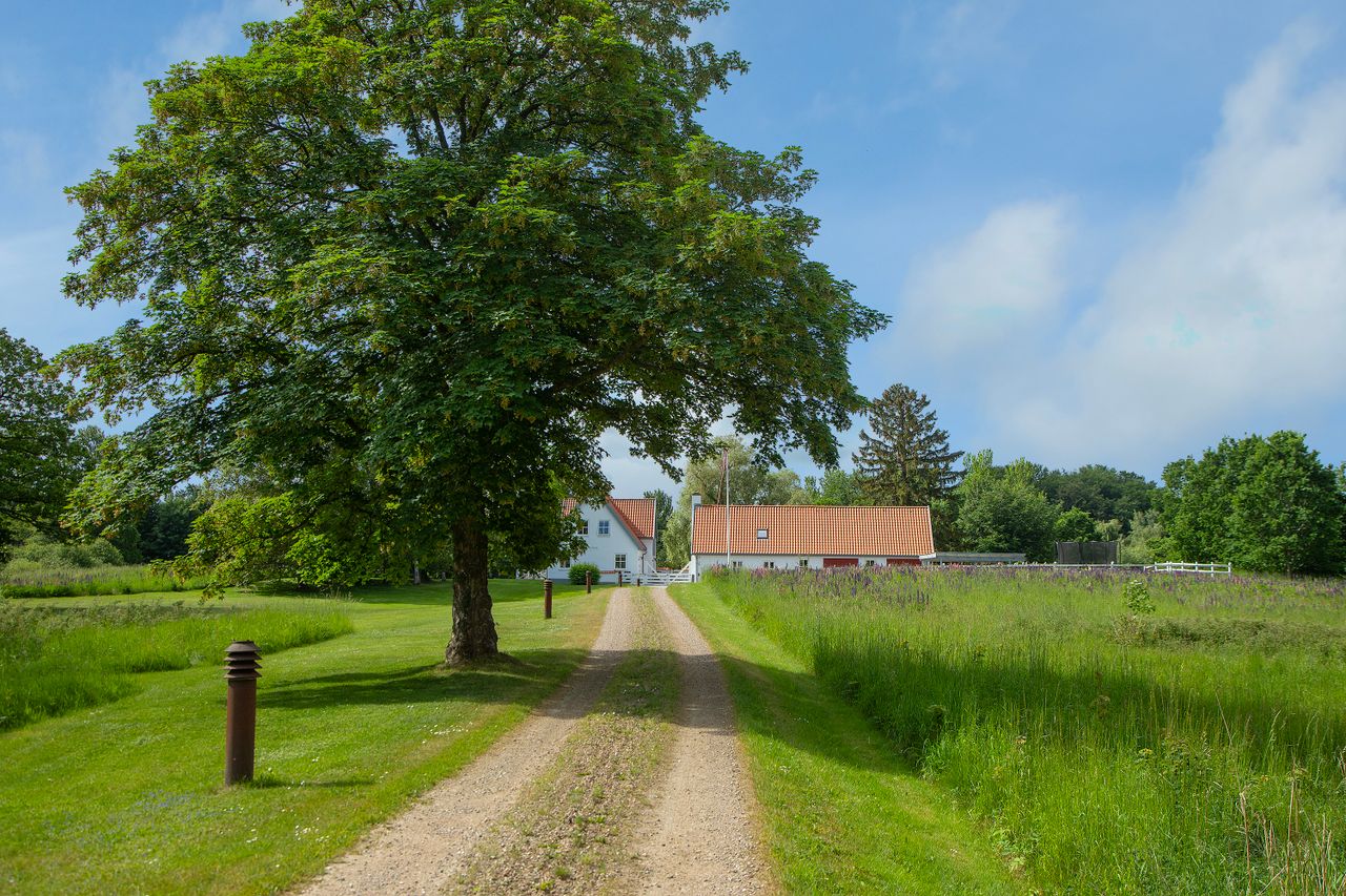 image 03